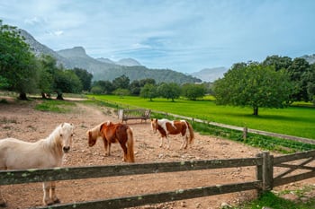 finca almond valley | Empresa de Catering